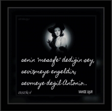 �iirler / resimli �iirler / v.u�ur