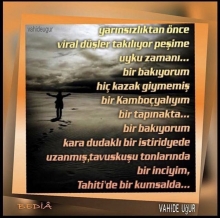 �iirler / resimli �iirler / v.u�ur