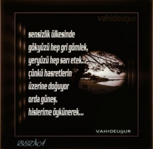 �iirler / resimli �iirler / v.u�ur