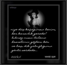 �iirler / resimli �iirler / v.u�ur