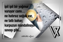Vahide U�ur & B�G P�CTURE SER�ES