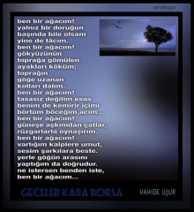 Ben Bir A�ac�m