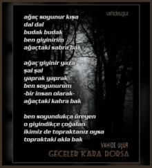 topraktaki akla bak / vahide u�ur 