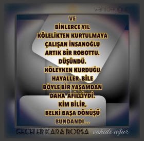 �iir Galeri / v.u�ur (3)