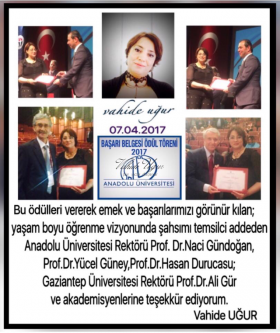 galeri vahideugur.com