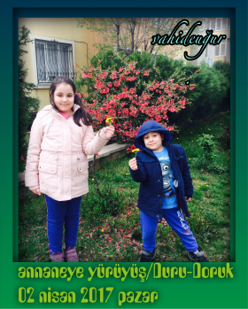 Vahide U�ur 